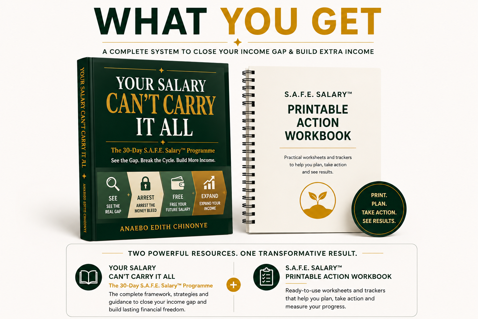 What you get: Your Salary Can’t Carry It All, the 30-Day S.A.F.E. Salary™ Programme, plus the S.A.F.E. Salary™ Printable Action Workbook.